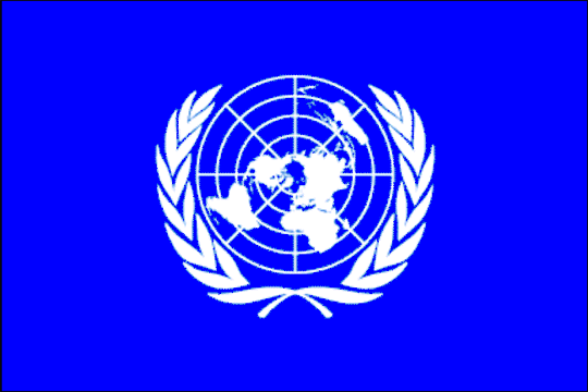 Партнер ООН